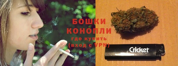 твердый Аркадак