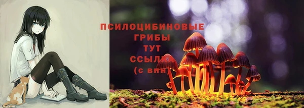 прущая мука Алзамай