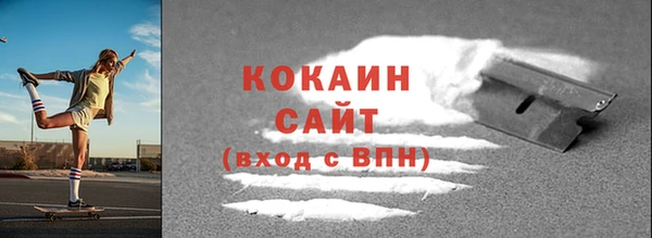 шишки Арсеньев