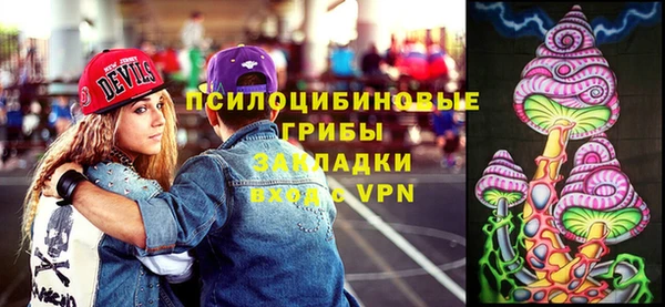 твердый Аркадак