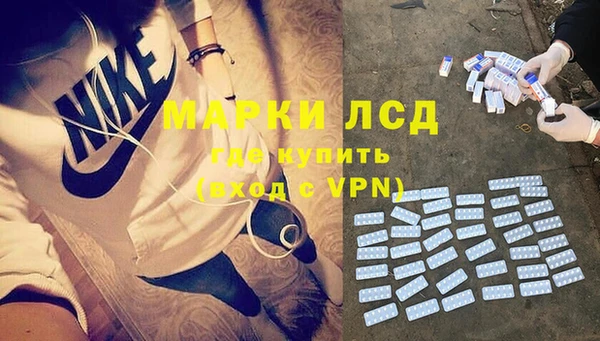 шишки Арсеньев