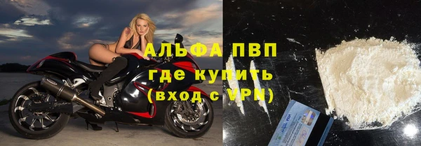 шишки Арсеньев