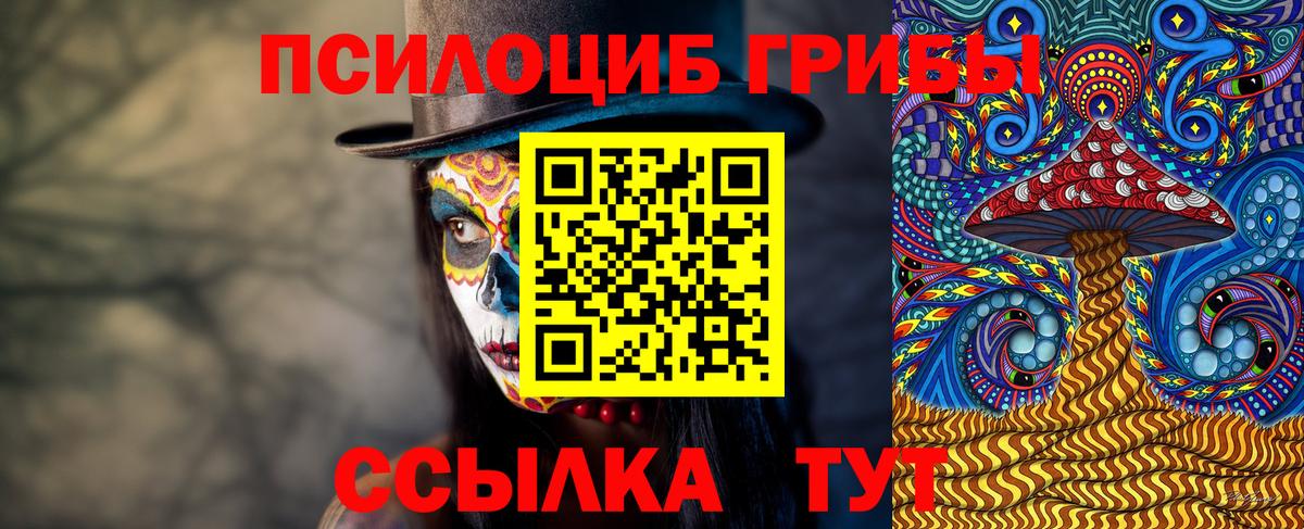 Аша  Галлюциногенные грибы Cubensis  Вход с VPN 
