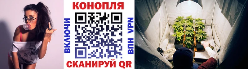 Шишки марихуана ГИДРОПОН Аша